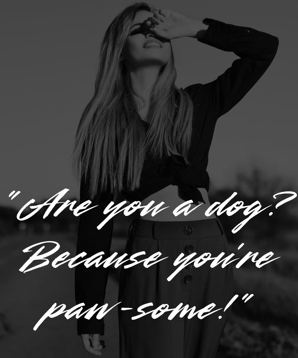animal-inspired-pick-up-lines