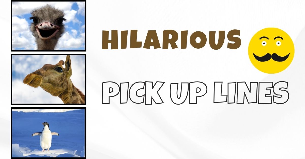 hilarious-pick-up-lines