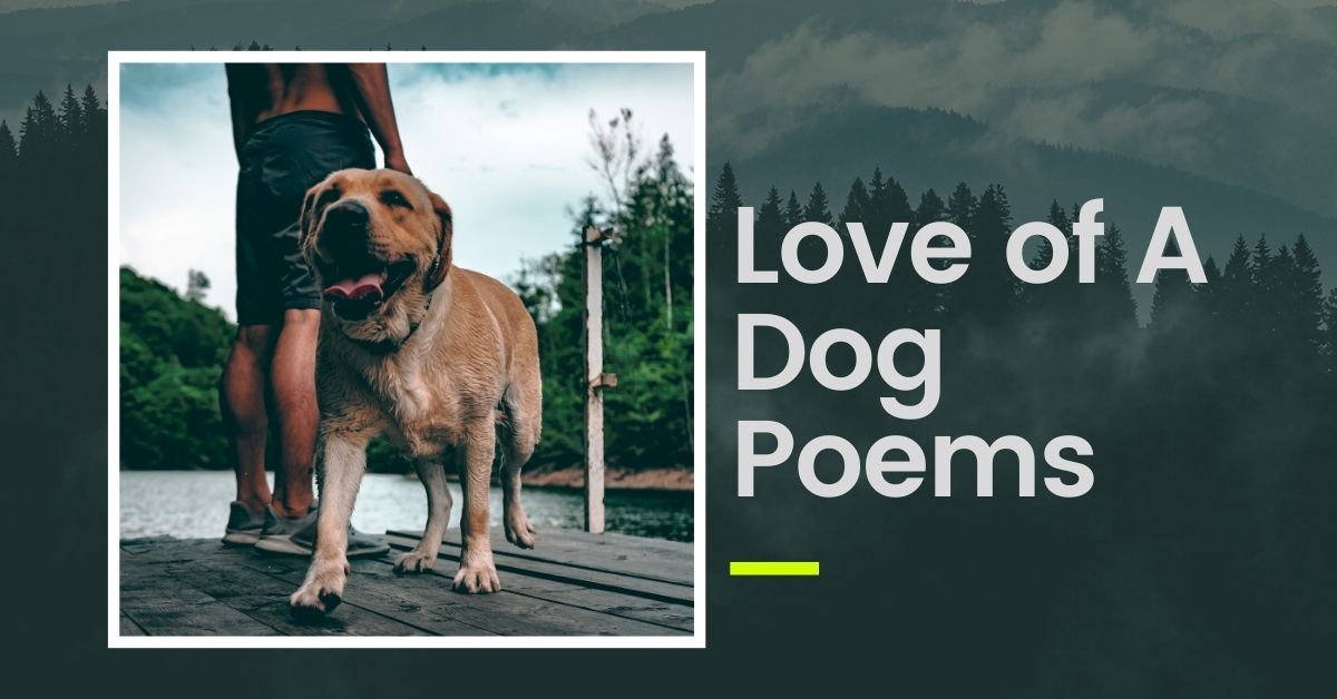 love-of-a-dog-poems