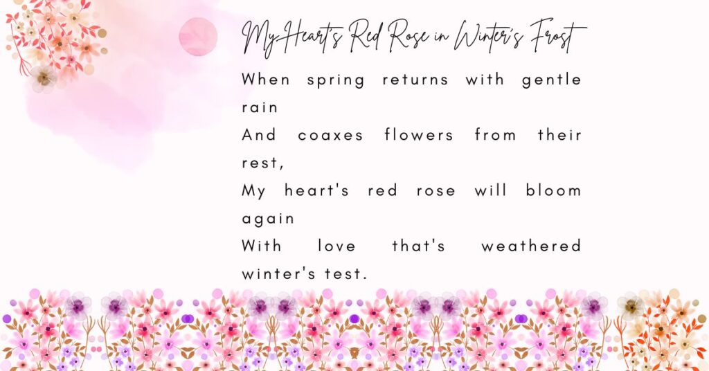 my-hearts-red-rose-in-winters-frost