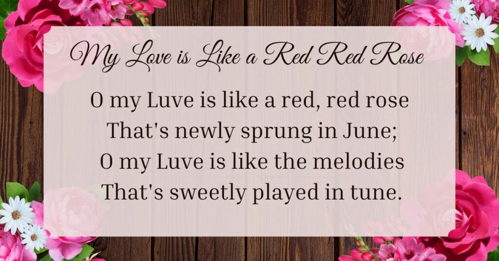 my-love-is-like-a-red-red-rose