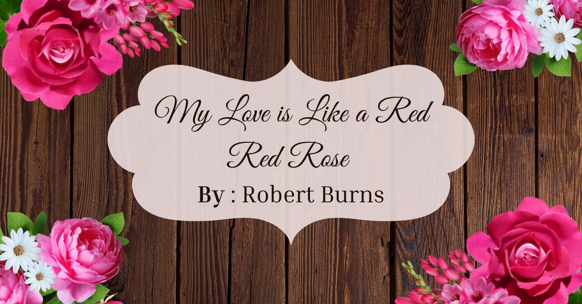my-love-is-like-a-red-red-rose-poems