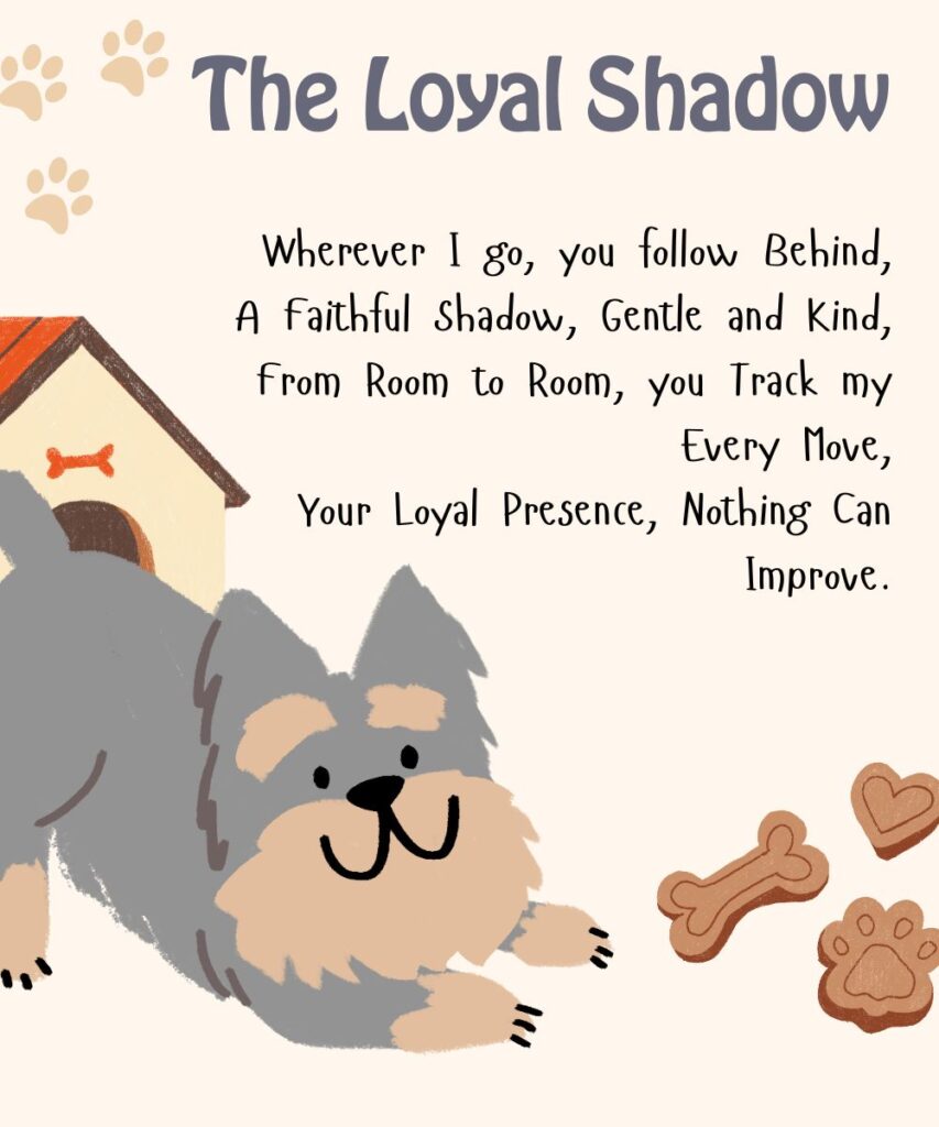 the-loyal-shadow-dog-poems