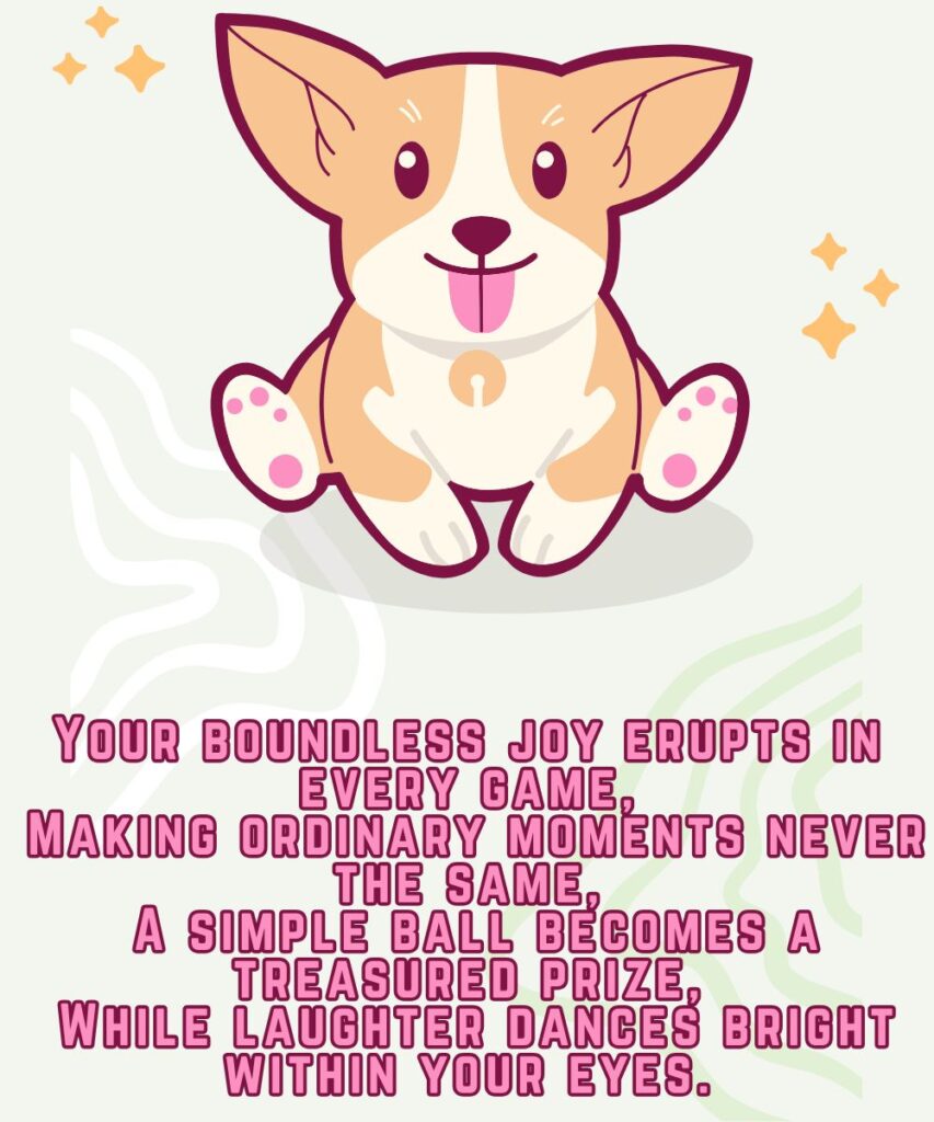 the-playful-spirit-dog-poems